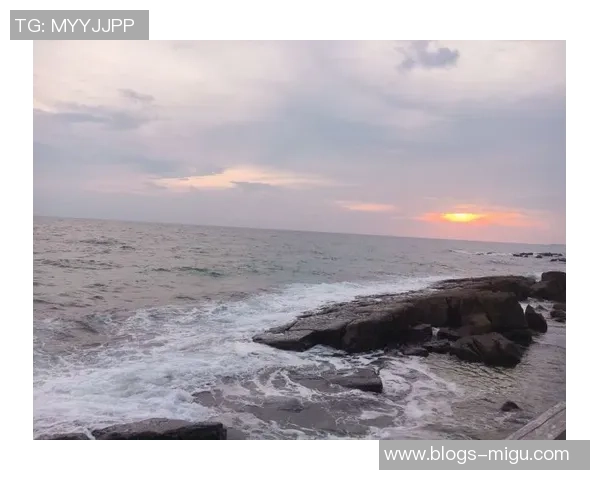 德岛漩涡与爱媛的魅力对决探索两地文化与自然的独特风情